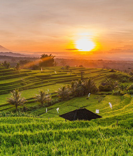 Ubud